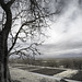Thomas Strom Photo 17