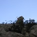 Jamie Spires Photo 11