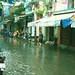 Cuong Trinh Photo 10