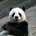Hui Lin Photo 29