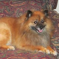 Maggie Hinson Photo 9