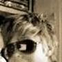 Karl Stahl Photo 34