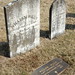 Willis Johnson Photo 39