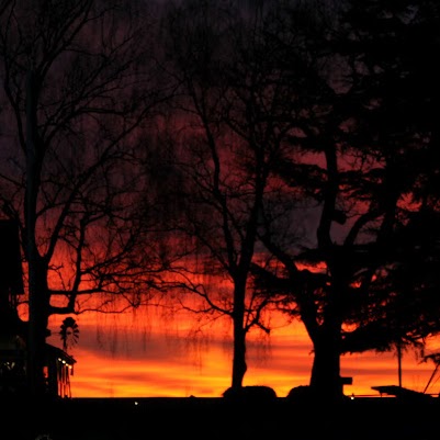 Renee Pizzo Photo 5