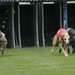 Butch Gee Photo 3