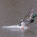 John Weatherly Photo 15