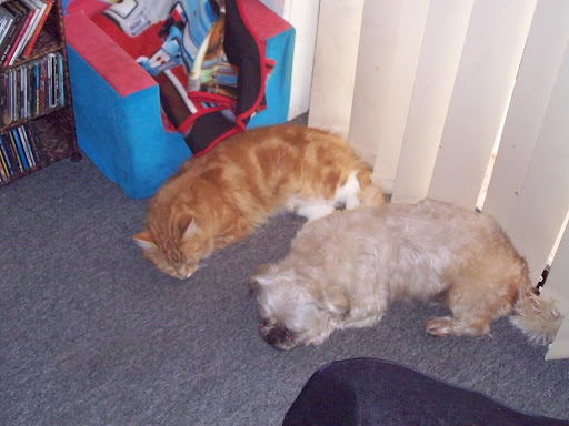 Diane Wylie Photo 4