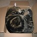 Jerry Box Photo 2
