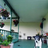 Elaine Bush Photo 5