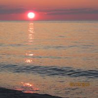 Cathy Stephenson Photo 28