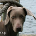 Linda Laporte Photo 12
