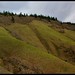 Weldon Good Photo 11