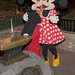 Mickey Stone Photo 21