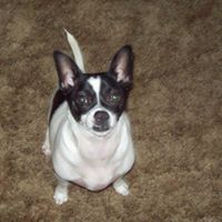 Susan Stivers Photo 14