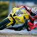 Troy Phillips Photo 34