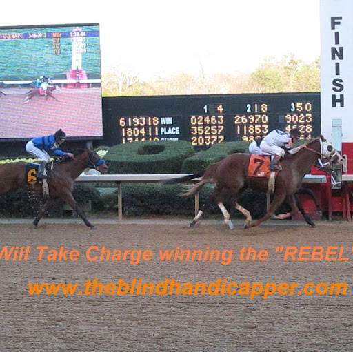 David Spann Photo 40
