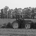 John Reap Photo 13