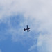 Allen Pitts Photo 15