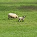 Arnold Lamb Photo 9