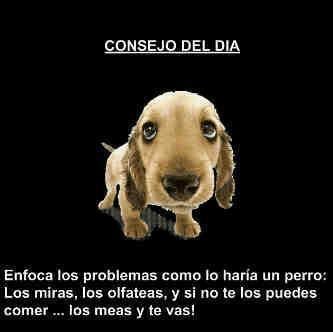 Jose Caballero Photo 24
