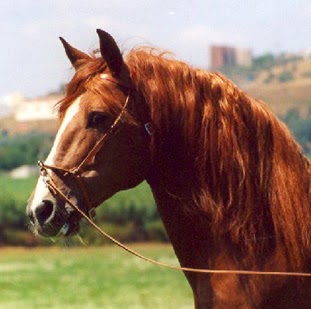 Matilde Lopes Photo 4