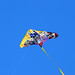 Jane Kite Photo 13
