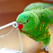 Brenda Bird Photo 42