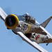 John Krawczyk Photo 16