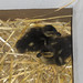 Clark Hess Photo 14