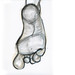 Dale Drew Photo 9
