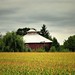 Steven Custer Photo 6