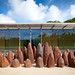 David Nash Photo 25