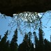 Louise Johnson Photo 33