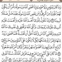 Mohammed Saeed Photo 10