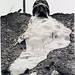 Robert Heizer Photo 8