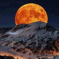 Debra Hubbard Photo 8