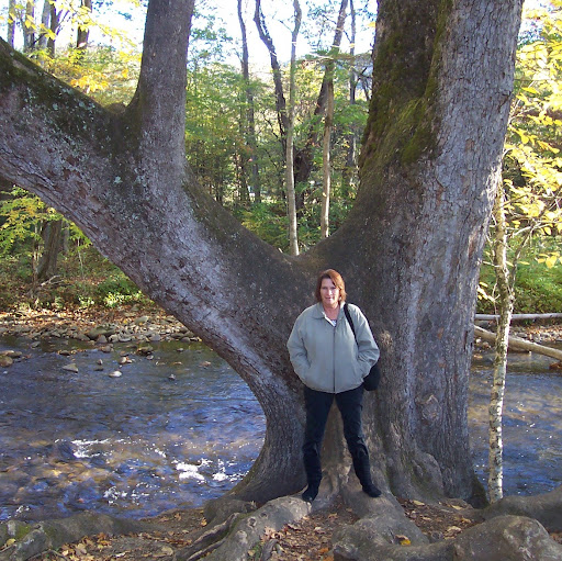 Linda Cooke Photo 35