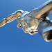 Steven Tenney Photo 21