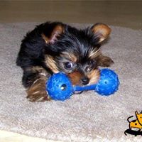 Velva Talley Photo 1