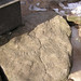 Stephen Hazlett Photo 6