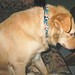 Beverly Mccarthy Photo 27