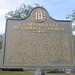 Sandy Taliaferro Photo 8