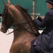 Catherine Jenkins Photo 25