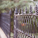 Matthew Rust Photo 23