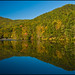 John Vogel Photo 15