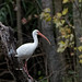 Wade Morris Photo 25
