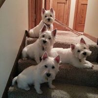 Deborah Mcneill Photo 23