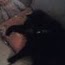 Patty Gaines Photo 20