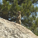 Richard Caudle Photo 11