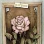 Mary Cash Photo 9